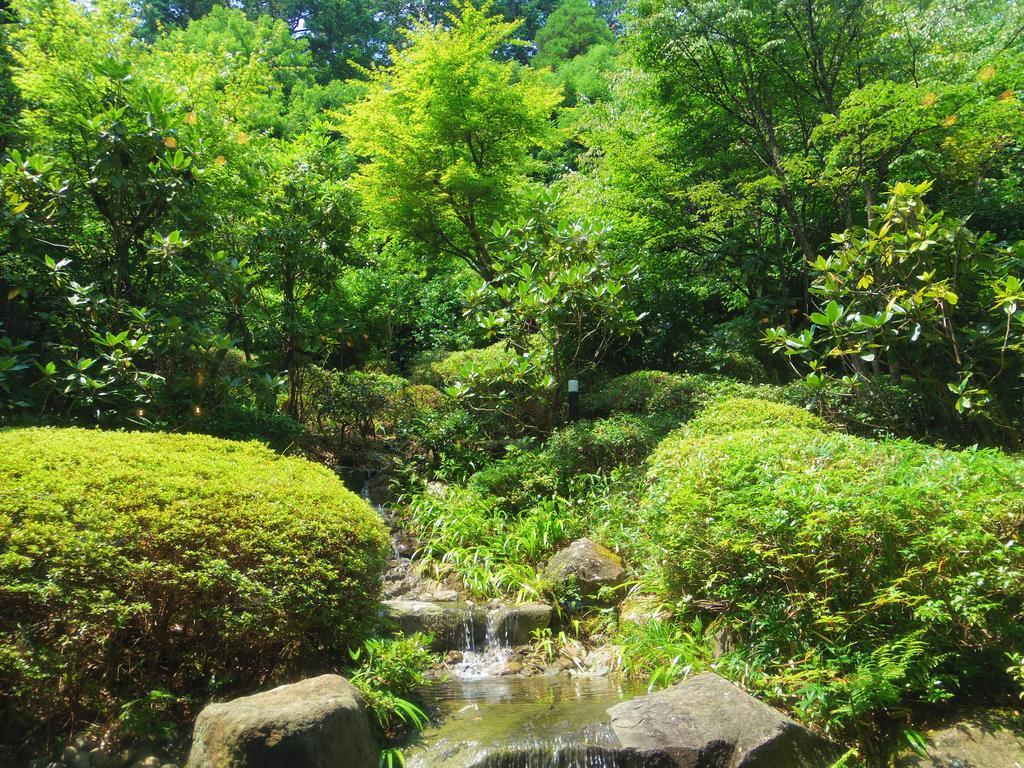 Hotel Hakone Gora Onsen Yumenoyu Exterior foto